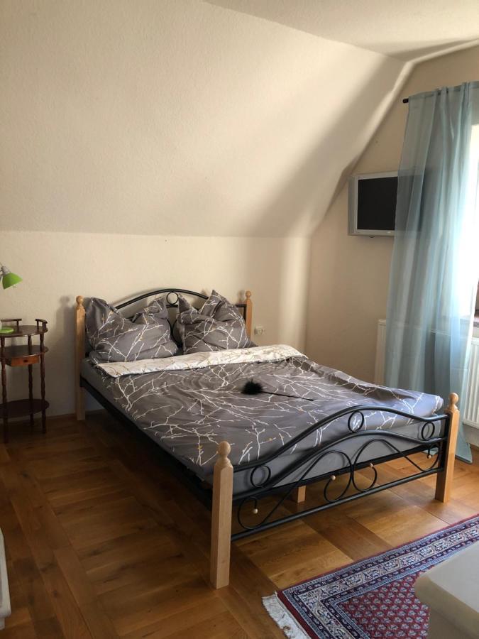 Ferienhaus Mit Pool Zum Traeumen Und Entspannen Fuer Alle Sinne Bad Schmiedeberg Eksteriør billede